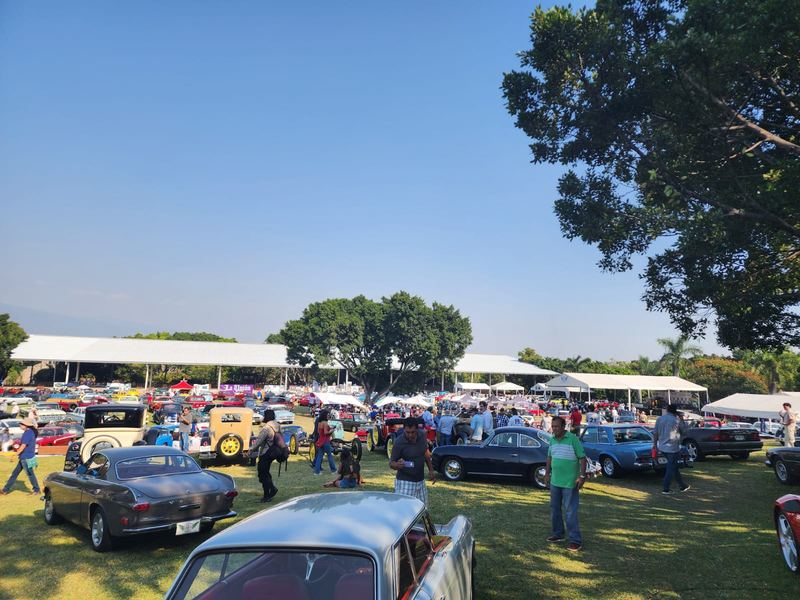Vista general del evento con los automóviles sobre el pasto