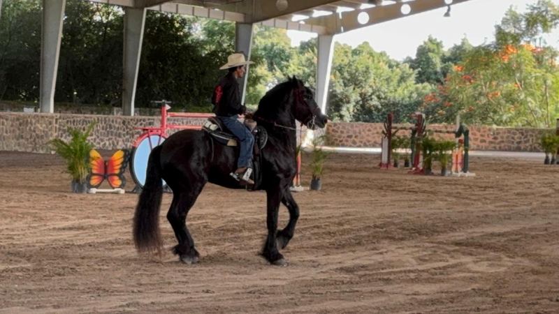 Charrería y caballos en el Club Hípico Vista Hermosa